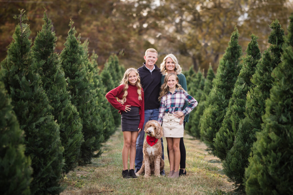 christmas tree farm mini sessions pictures 