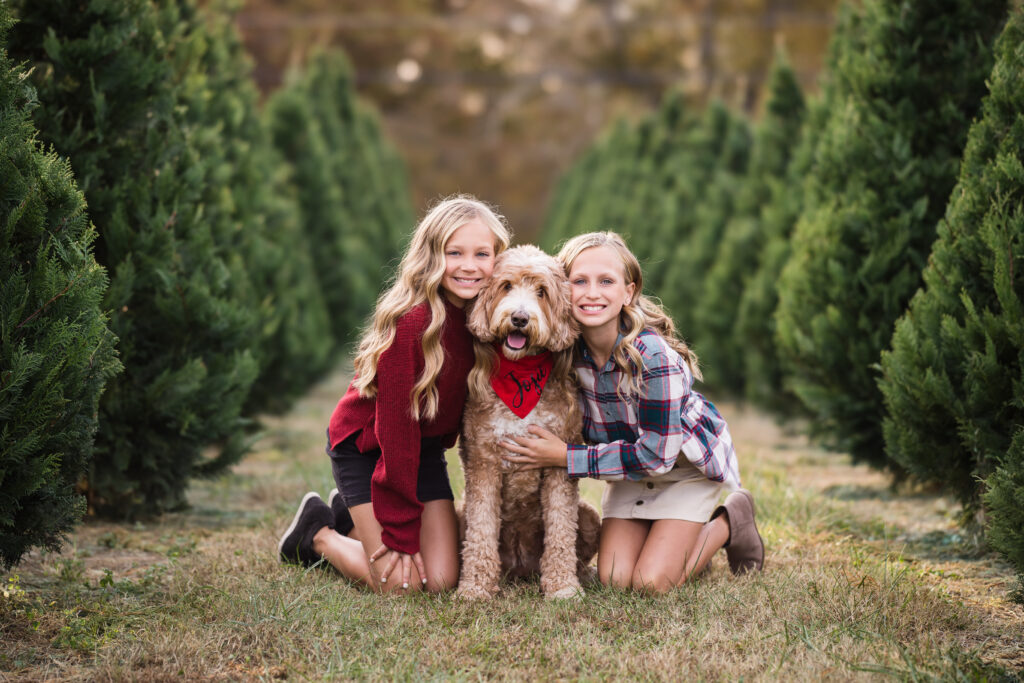 girls holding dog posing for pictures at bottoms christmas tree farm