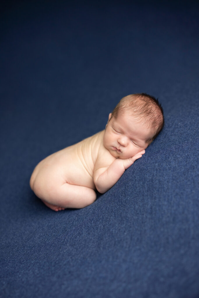 baby boy posed on blue backdrop newborn session