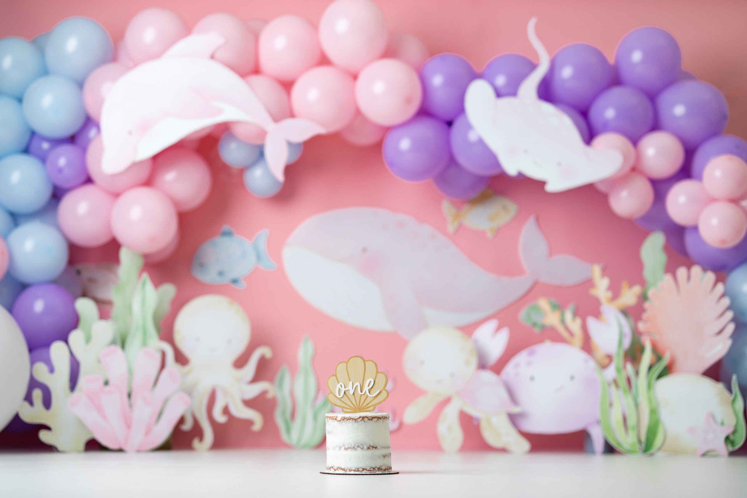 Under the Sea Cake Smash Magic