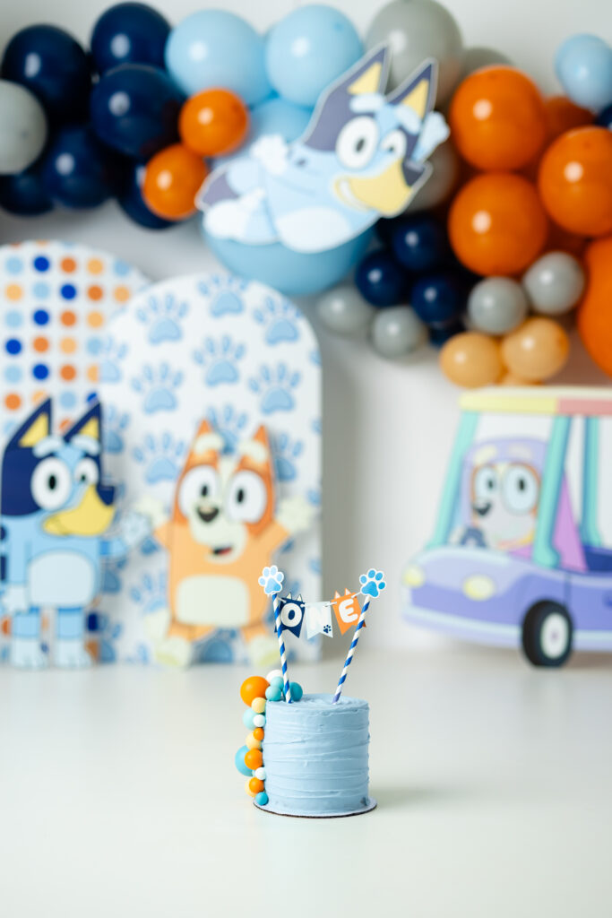 Handcrafted Bluey birthday photo set created by Canton, GA cake smash photographer

