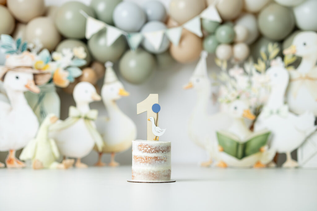 Custom goose-themed props including geese with bowties and one reading a book, designed for a gender-neutral cake smash set